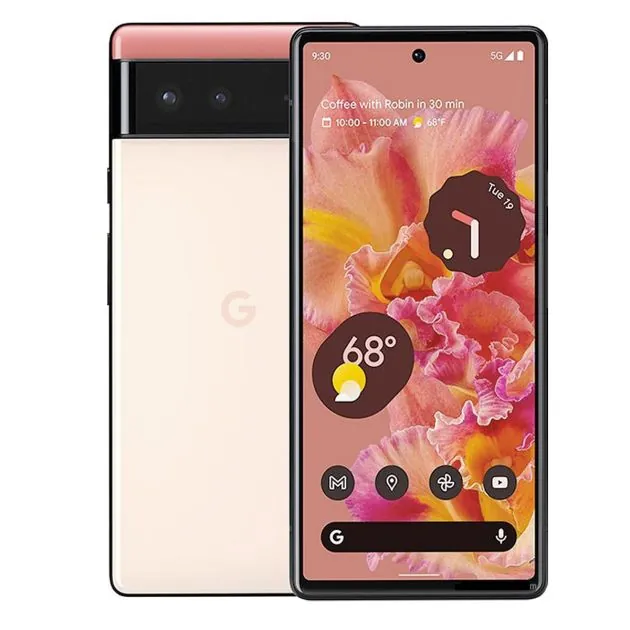 Google Pixel 6 vue 2